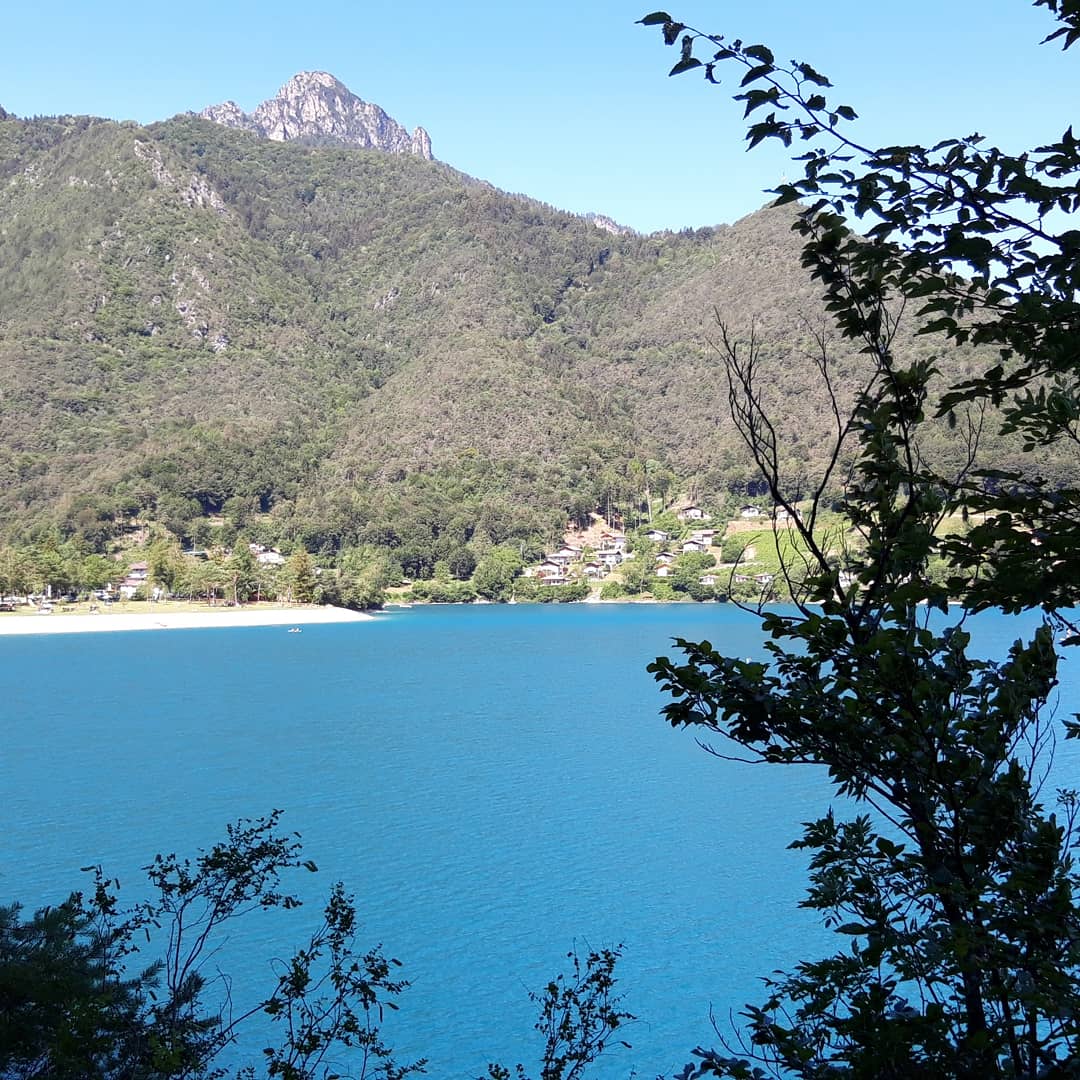 Esperienze professionali